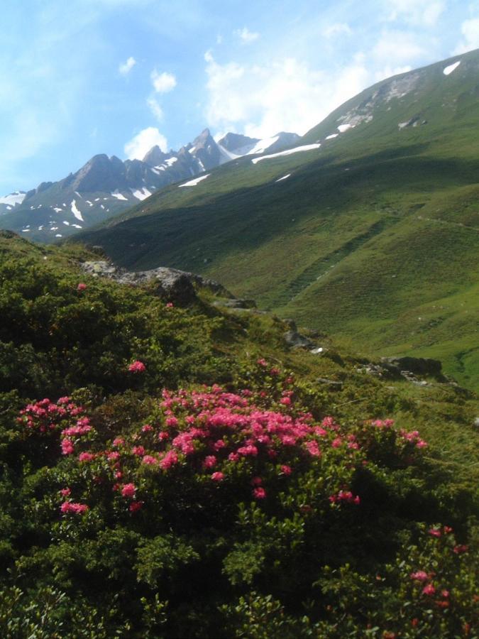 Das Unterrain Lifestyle Hotel Sankt Jakob in Defereggen Dış mekan fotoğraf